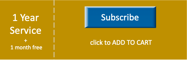 1 Year Subscription (pay for 12 months, get 1 more month free. you'll get 13 months in total)